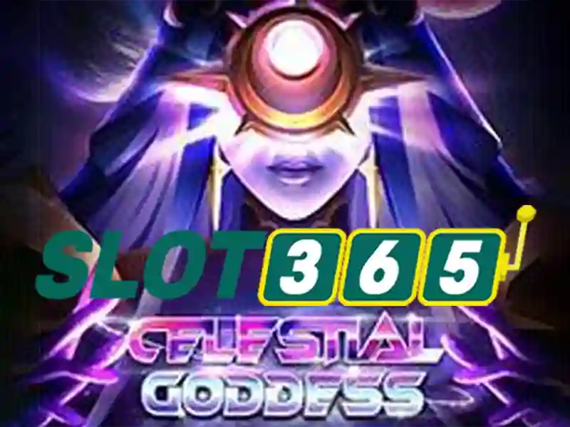 Slot365 - Tổng quan về nền tảng chơi slot và trải nghiệm người dùng