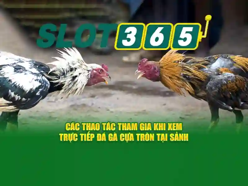 Slot365 - Nền tảng đánh bạc trực tuyến hàng đầu tại Việt Nam