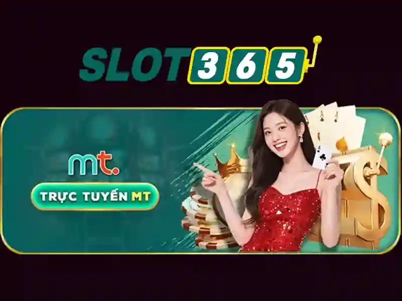 Tối ưu hóa cho di động và giao diện người dùng