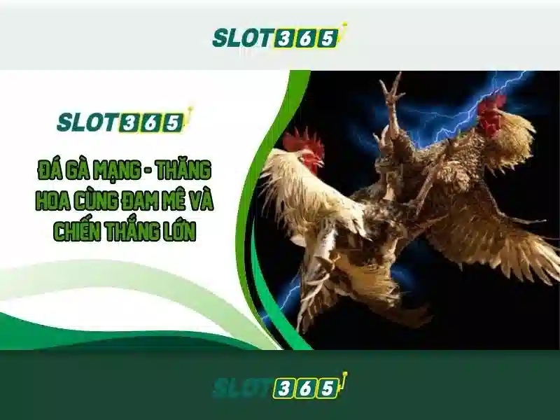 Slot365 và thế giới trò chơi quay số trực tuyến