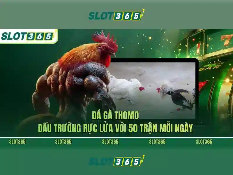 Slot365: Nền tảng slot trực tuyến uy tín và phong phú