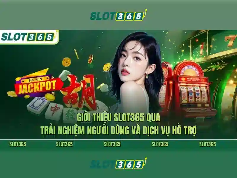 Trải nghiệm người dùng và giao diện