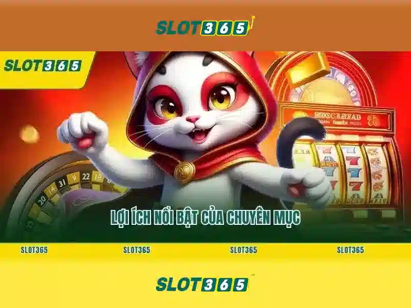 Giao diện và trải nghiệm người dùng