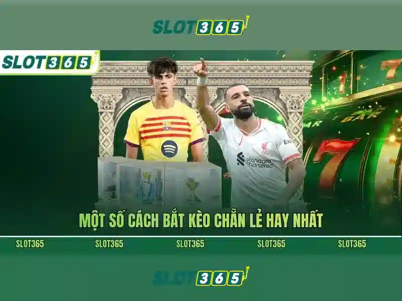 Slot365: Đánh giá nền tảng slots trực tuyến