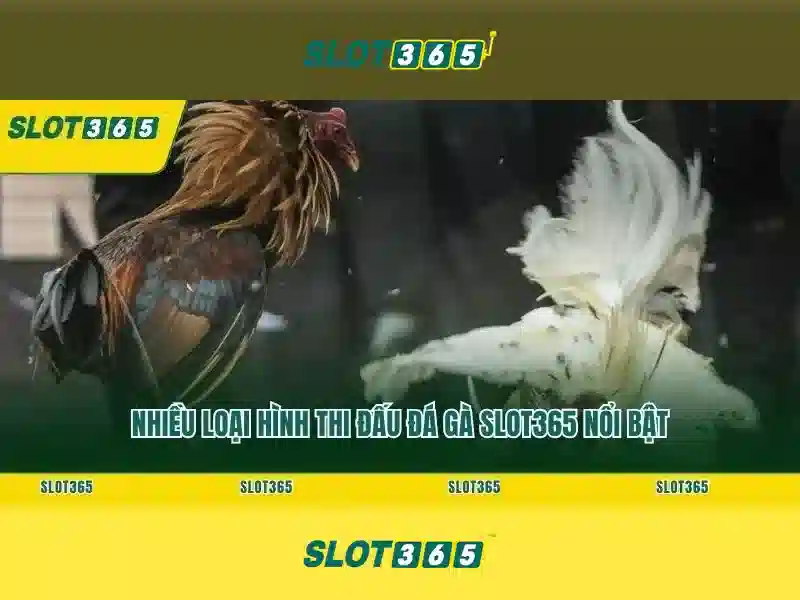 Các trò chơi slot đa dạng