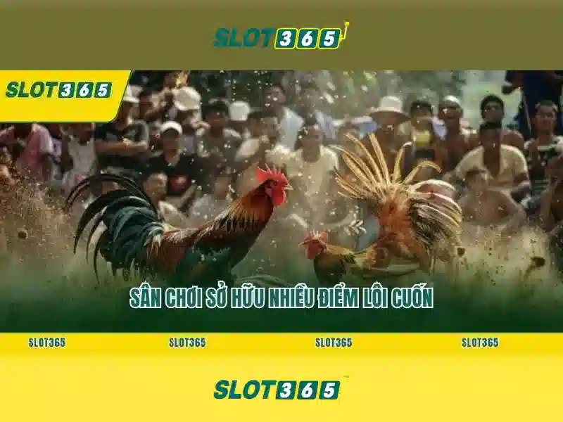 Slot365 – Nền tảng đánh bạc trực tuyến đáng tin cậy