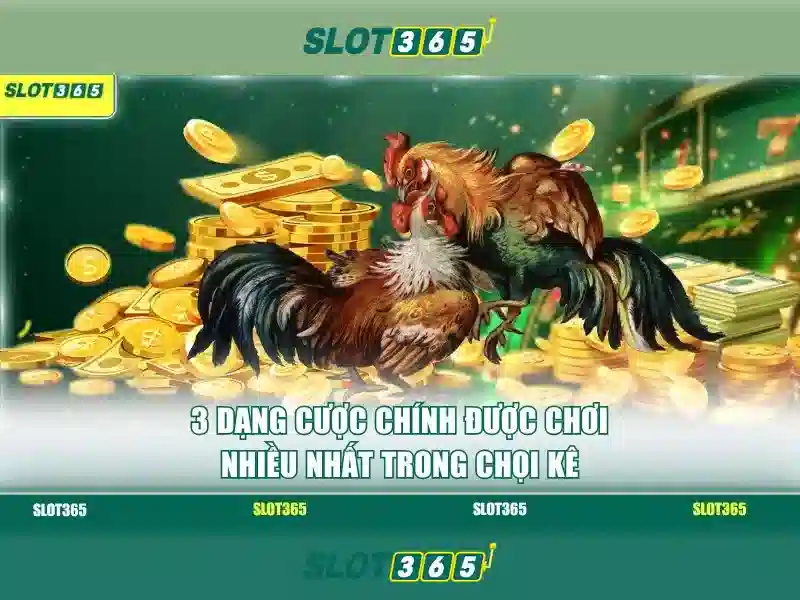 Slot365: Nền tảng chơi slot trực tuyến uy tín