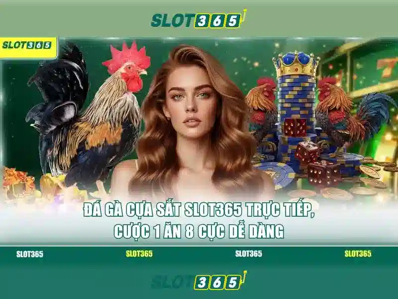 Slot365 Giới thiệu