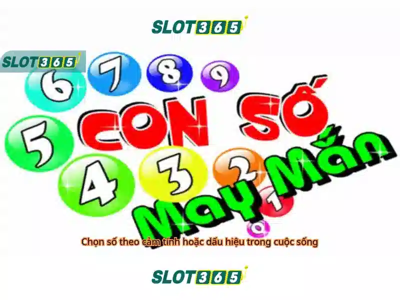 Slot365 - Tổng quan về nền tảng trò chơi trực tuyến