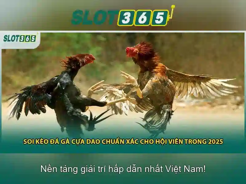 Trải nghiệm người dùng và an toàn tại Slot365