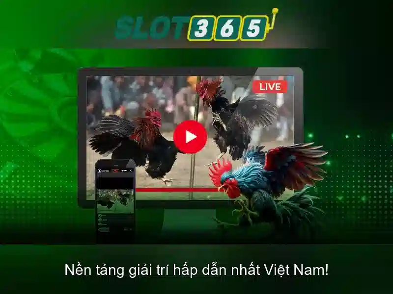 slot365 - Trải nghiệm casino trực tuyến đỉnh cao