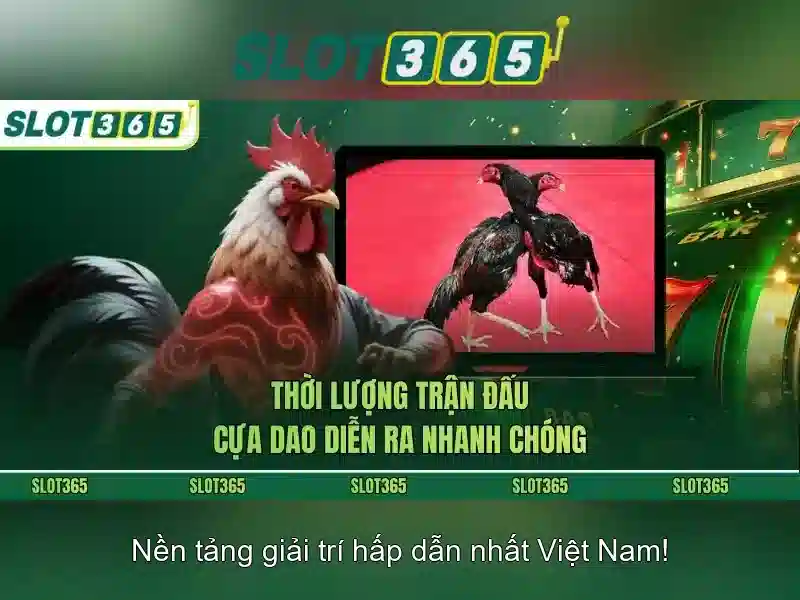 Slot365: Trải nghiệm slot trực tuyến an toàn và thú vị