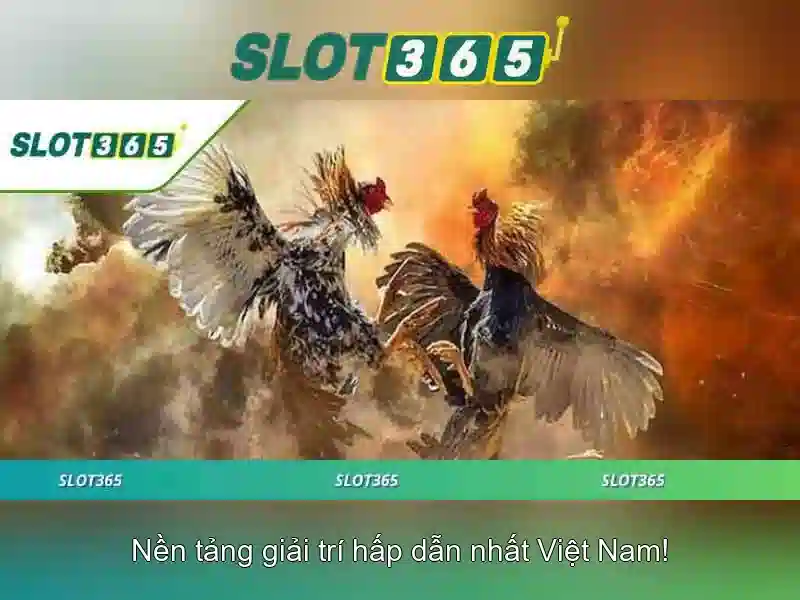 Độ tin cậy và bảo mật