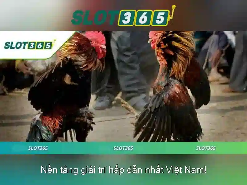 Slot365 – Nền tảng slot trực tuyến uy tín và thân thiện với người dùng