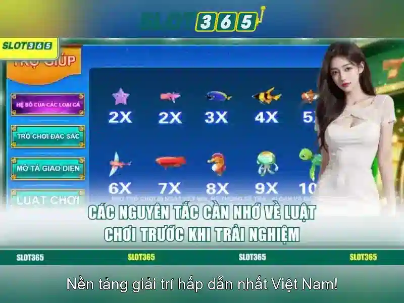 Chương trình khuyến mãi và ưu đãi
