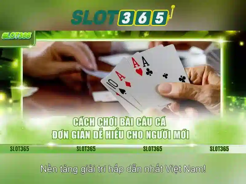 Slot365 là gì?