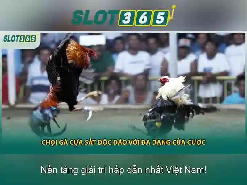slot365-login-hero