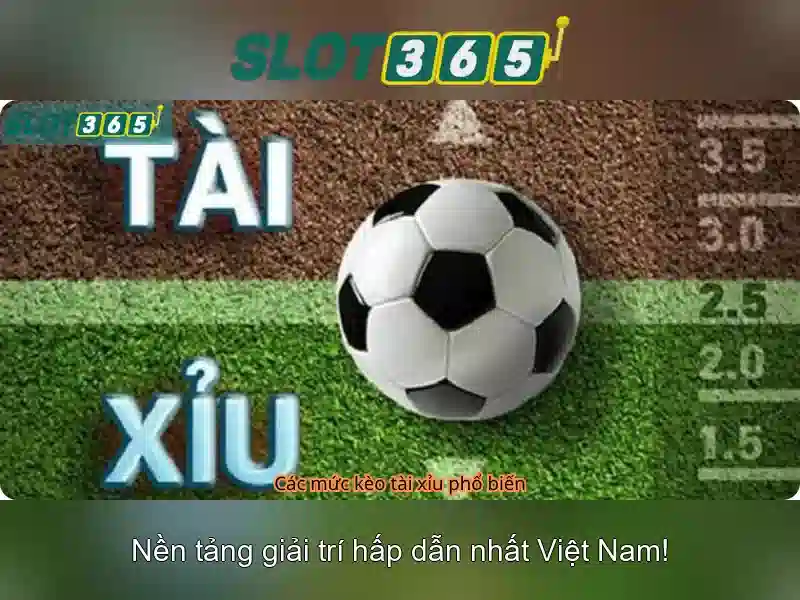 Slot365 – Trải nghiệm chơi game slot trực tuyến đỉnh cao