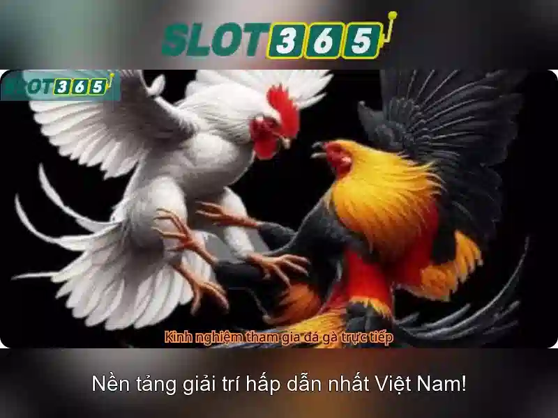 Slot365: Trải nghiệm slot trực tuyến hàng đầu
