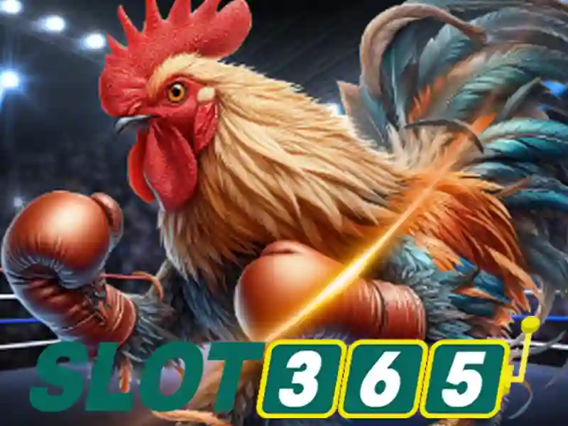slot365-login-process