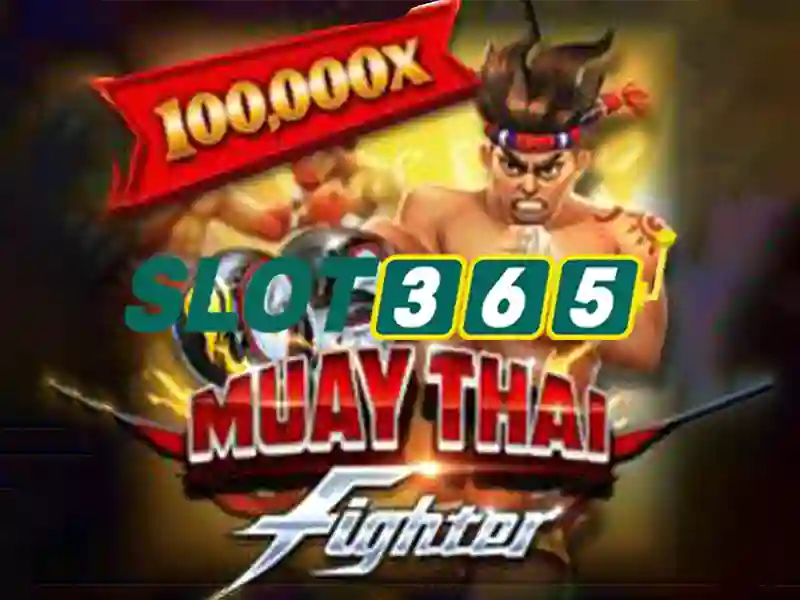 Lợi ích khi chơi trên Slot365